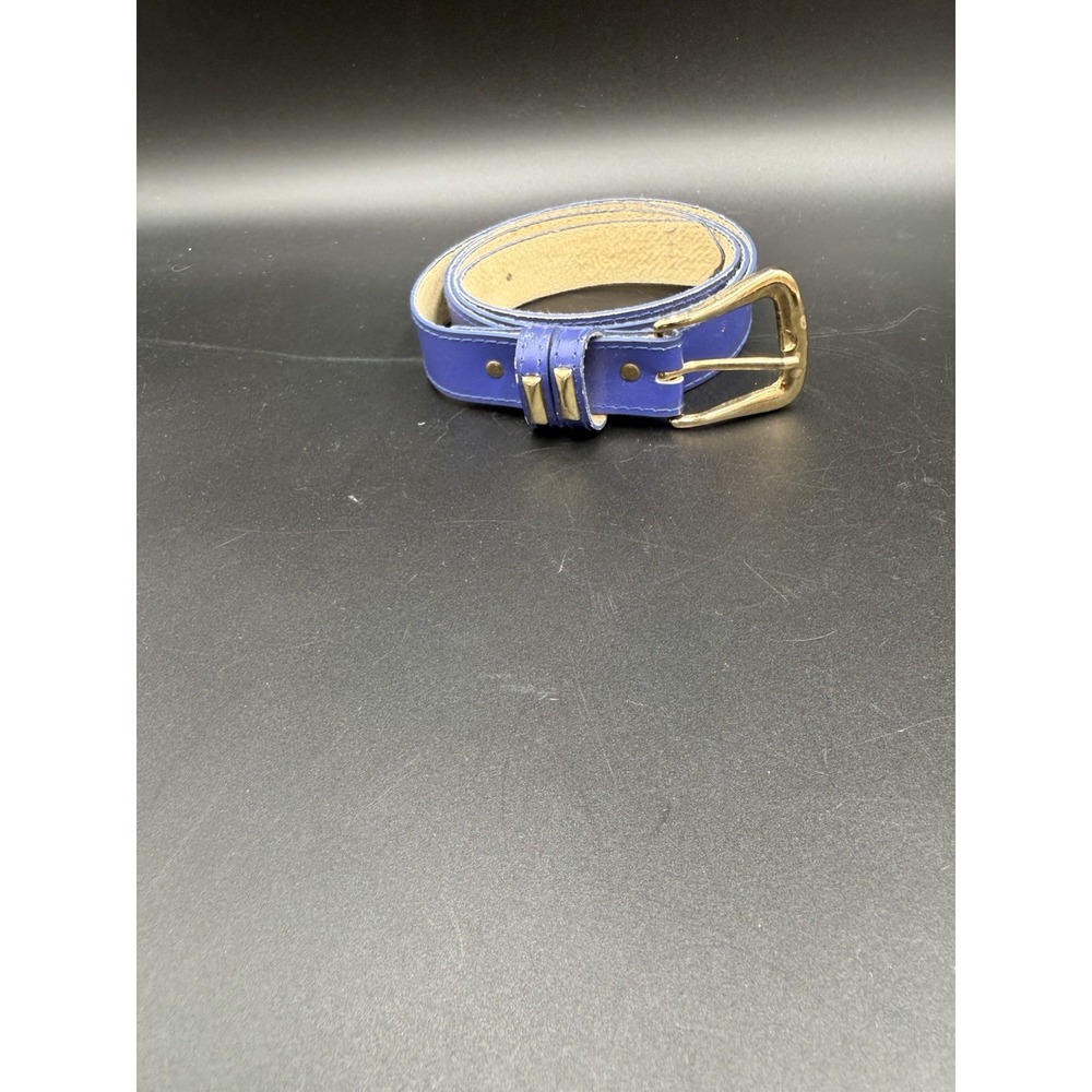 Women’s Blue Gold Skinny Belt Size 3X 22W Vintage Unbranded Gold Buckle Leather